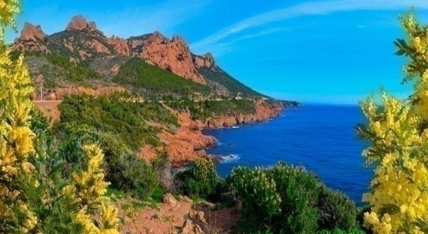 Rental Apartment Le Solymar - Antibes